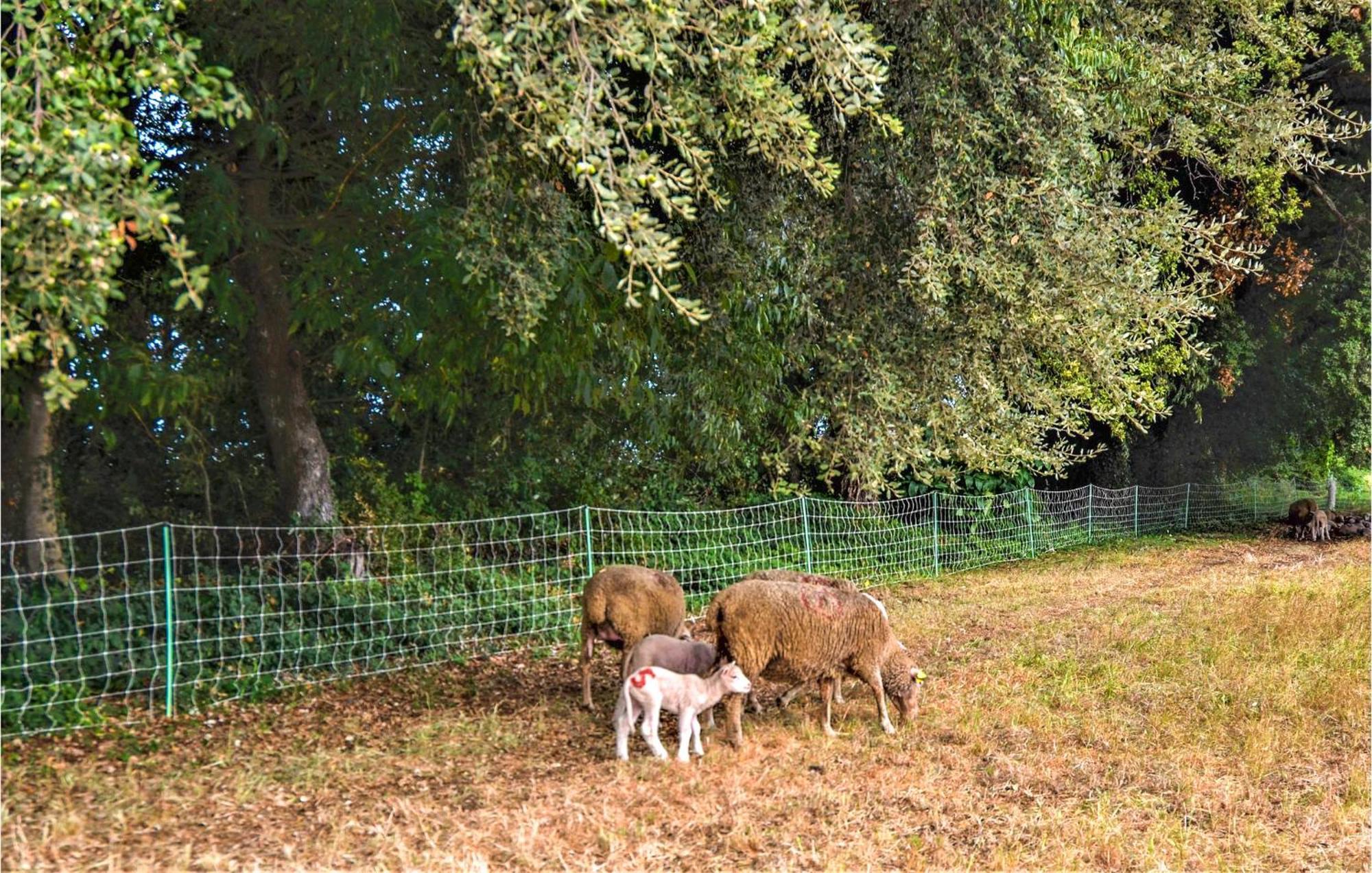 Lovely Home In Arles With Kitchen エクステリア 写真